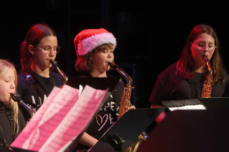 PRIŽIG LUČK 30 FOTO LJUBO VUKELIČ